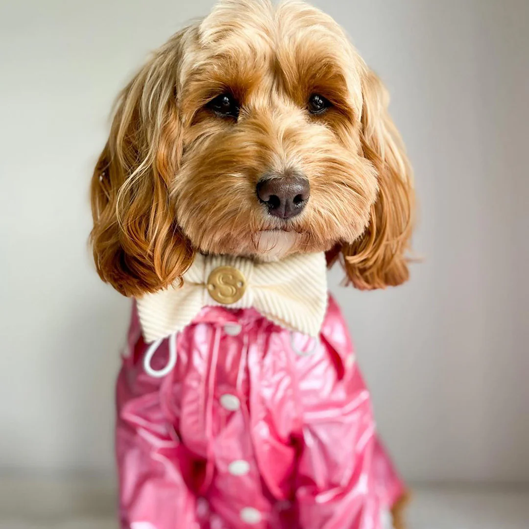 Raincoat - Hot Pink - Image 7