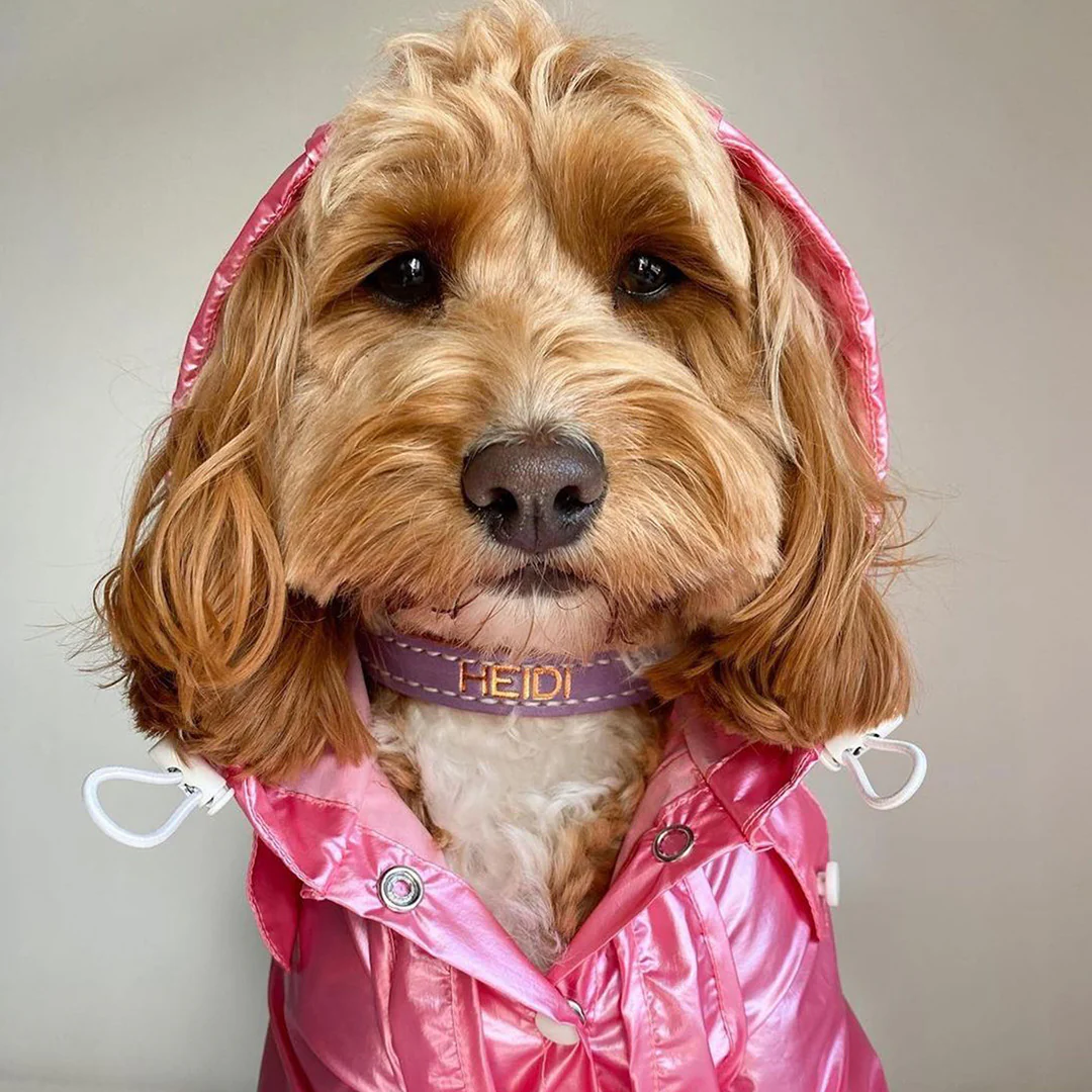 Raincoat - Hot Pink - Image 8
