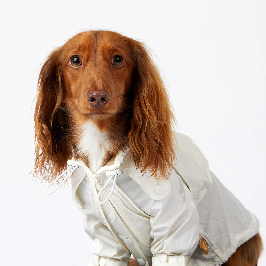 Raincoat - Pearl - Image 10
