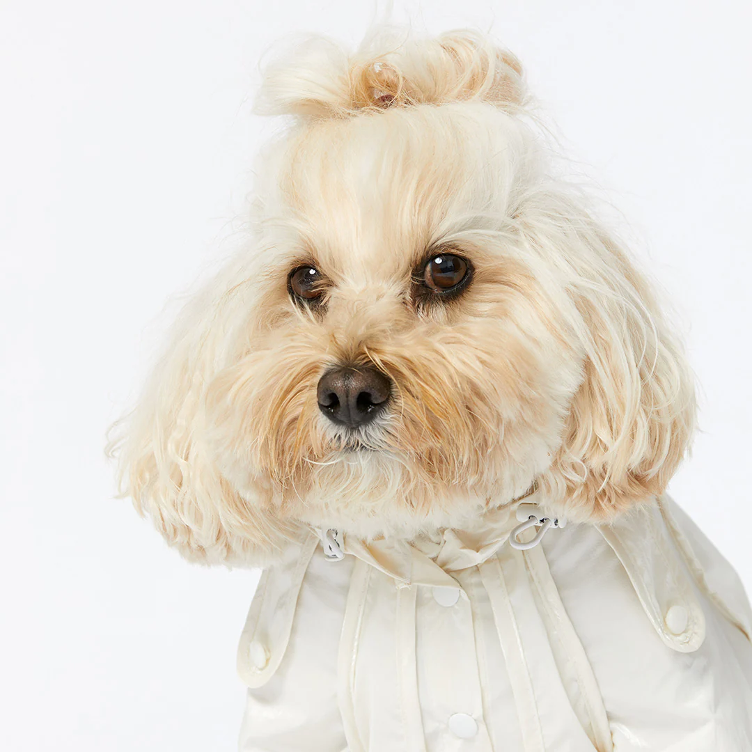 Raincoat - Pearl - Image 8