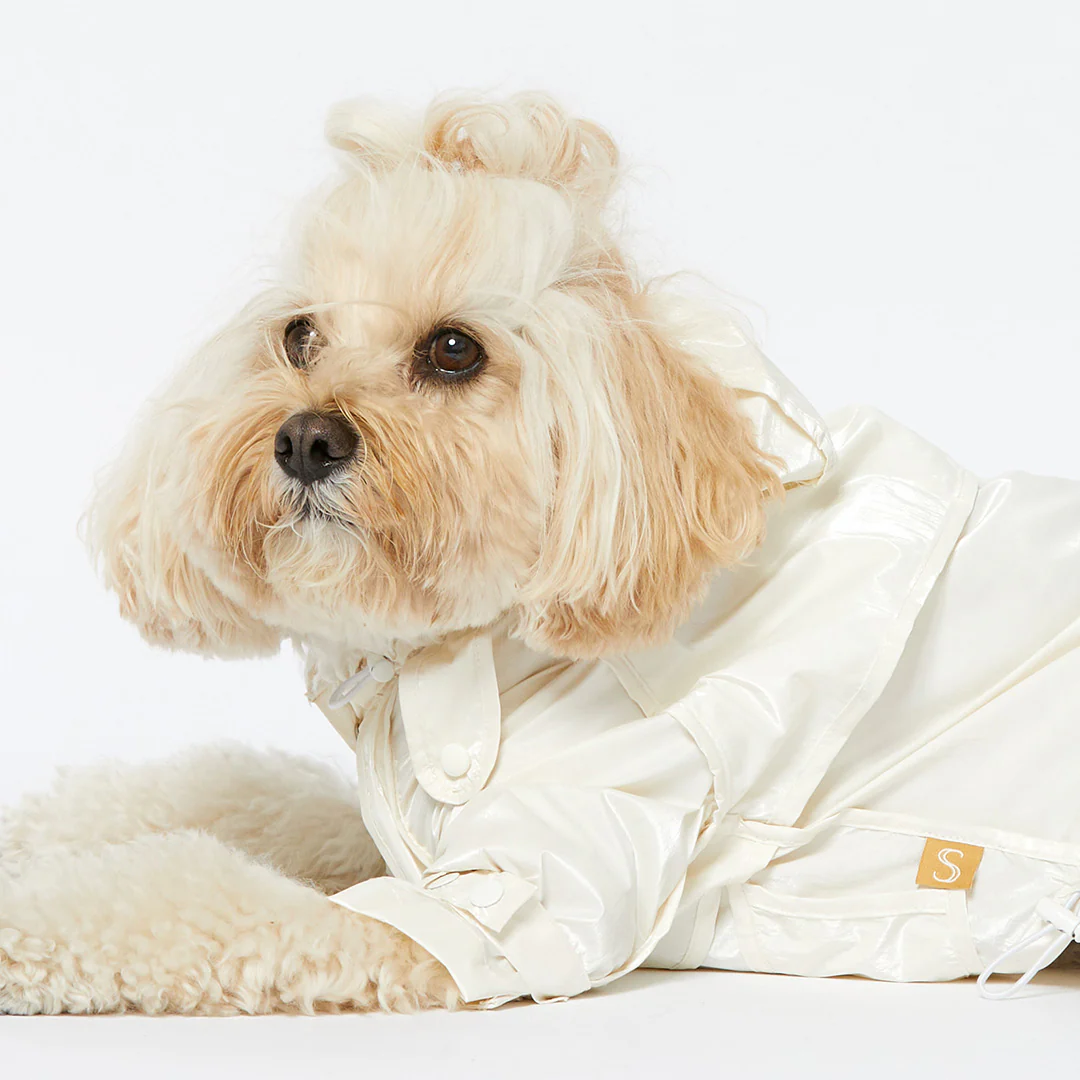 Raincoat - Pearl - Image 9
