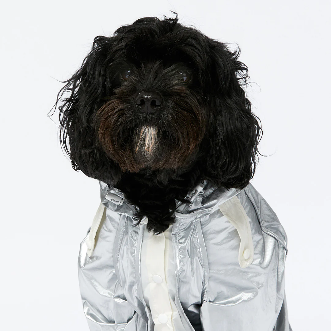 Raincoat - Silver - Image 10