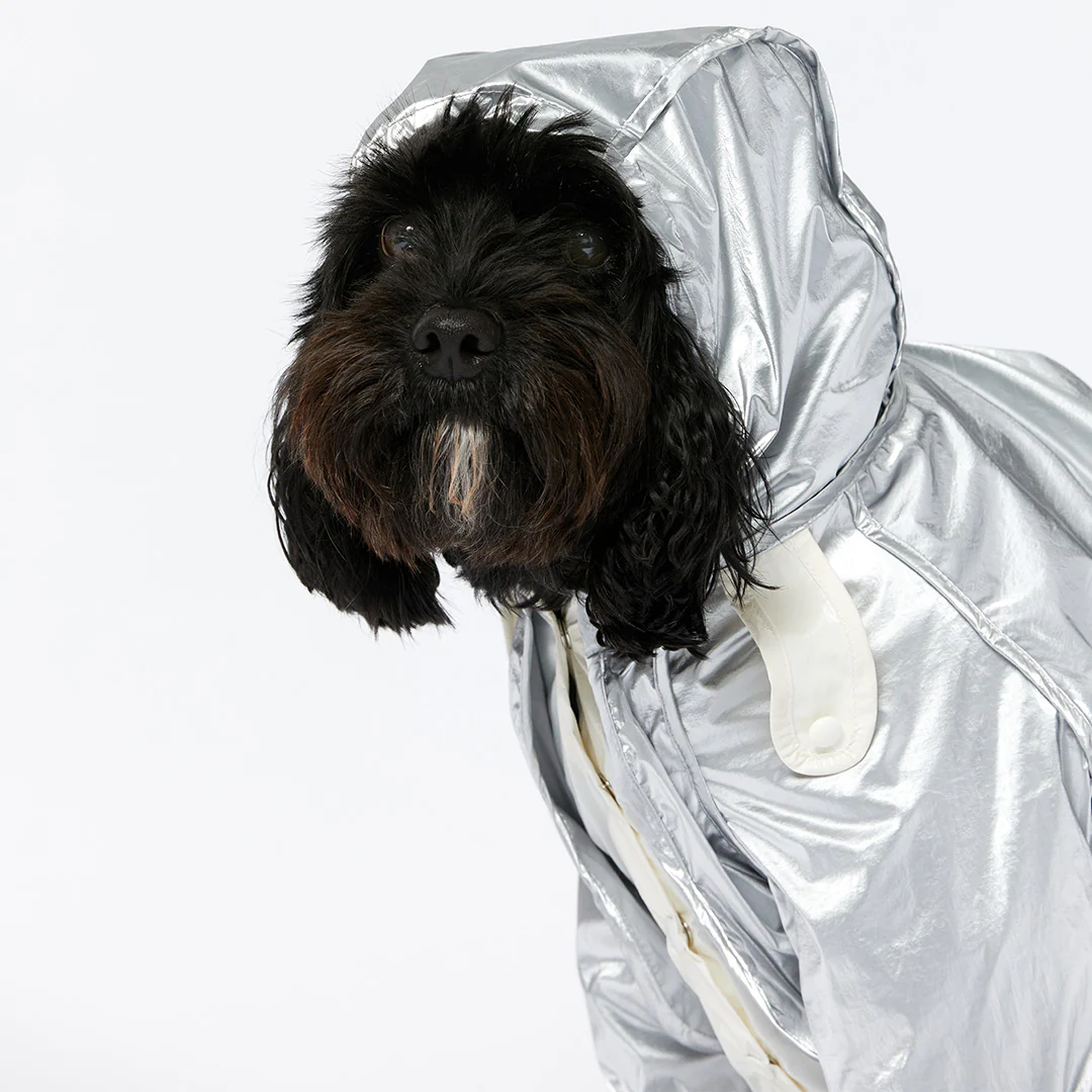 Raincoat - Silver - Image 8