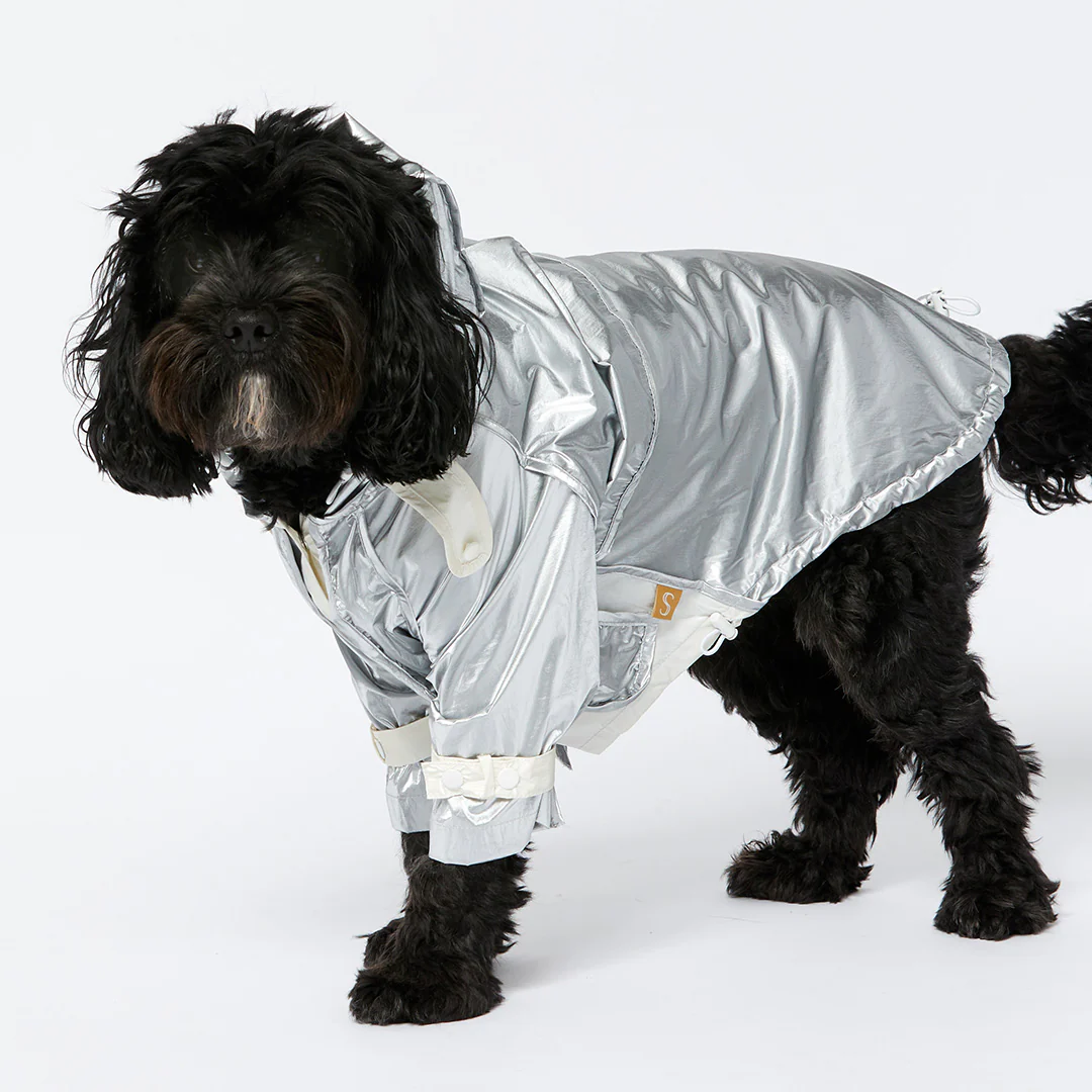 Raincoat - Silver - Image 9