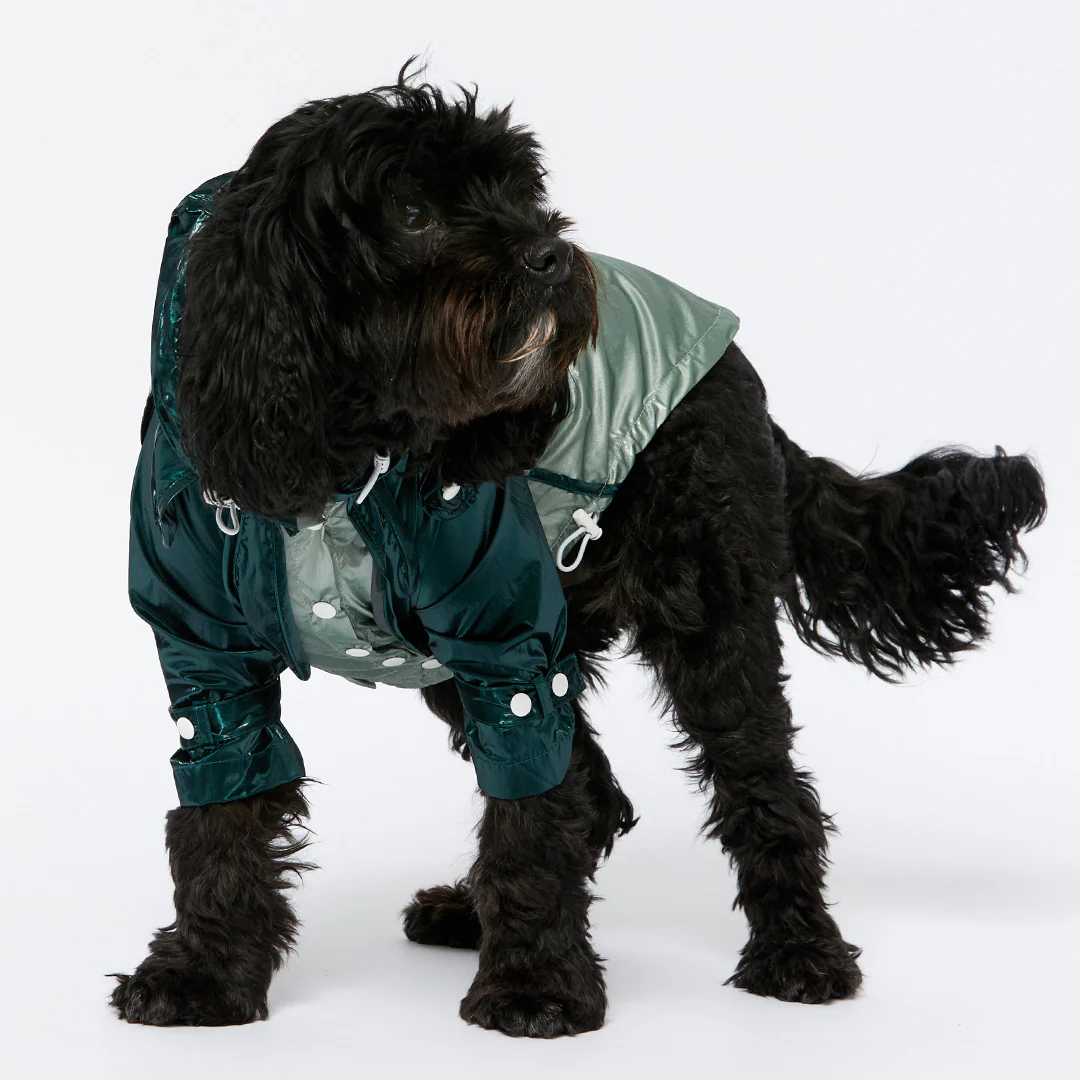 Raincoat - Teal - Image 7