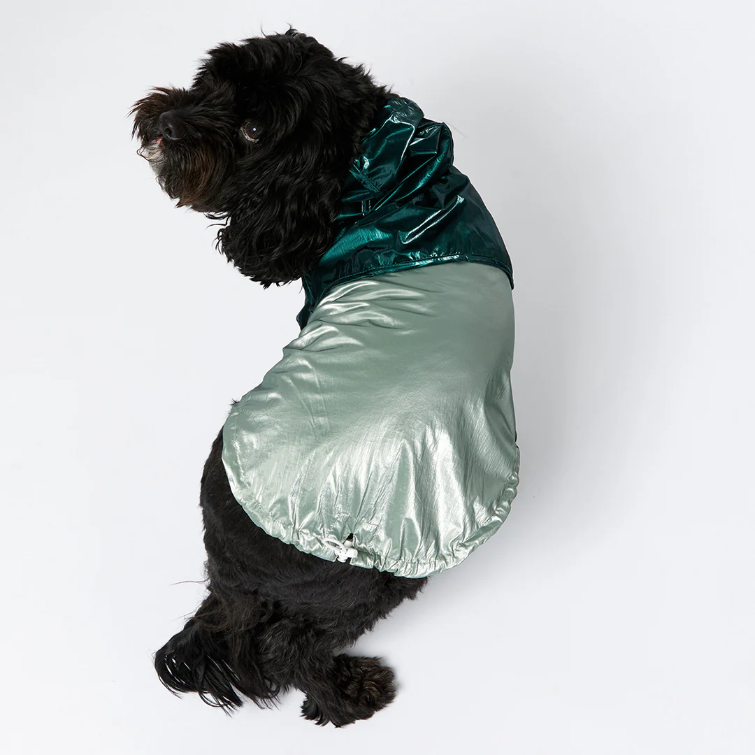 Raincoat - Teal - Image 8