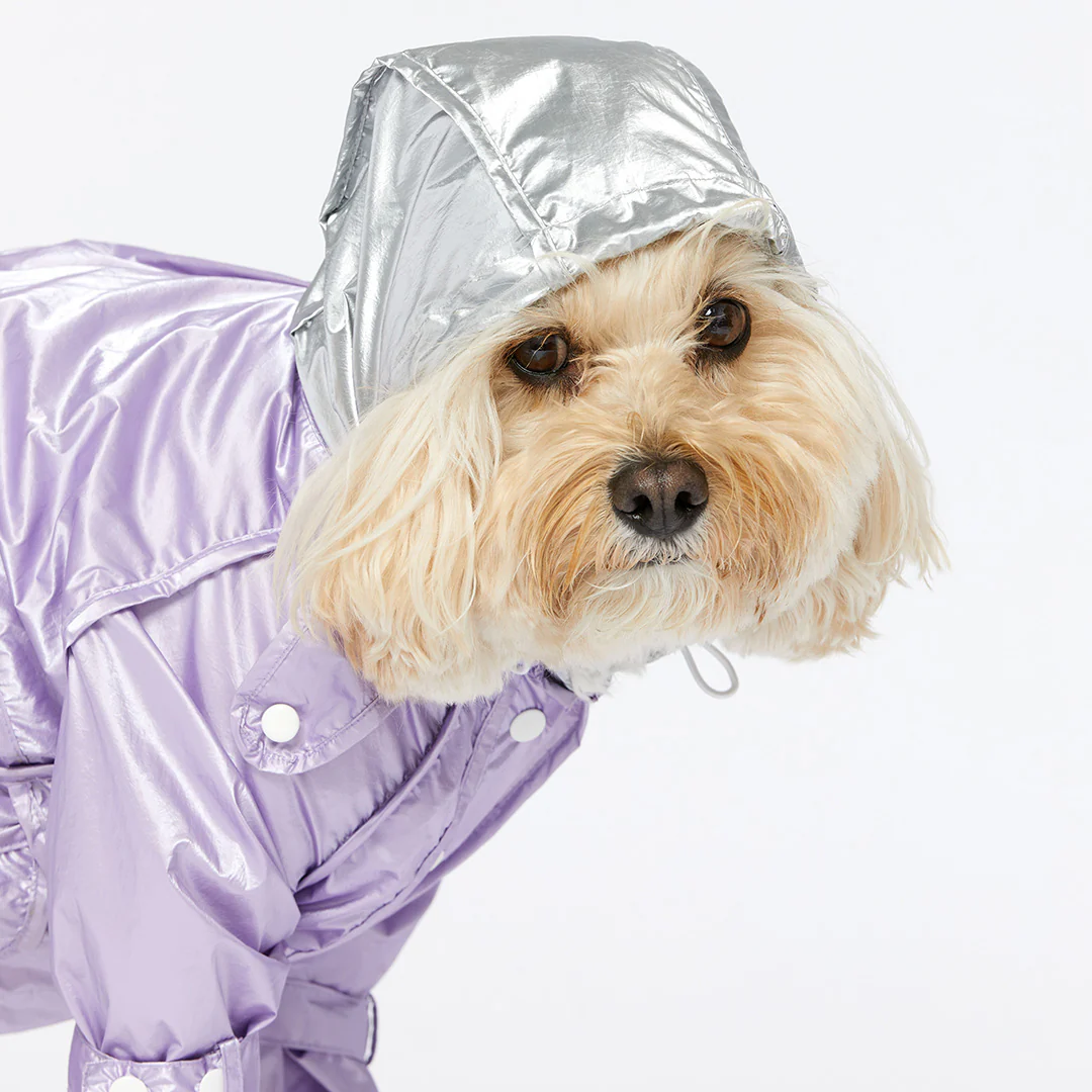 Raincoat - Violet - Image 9