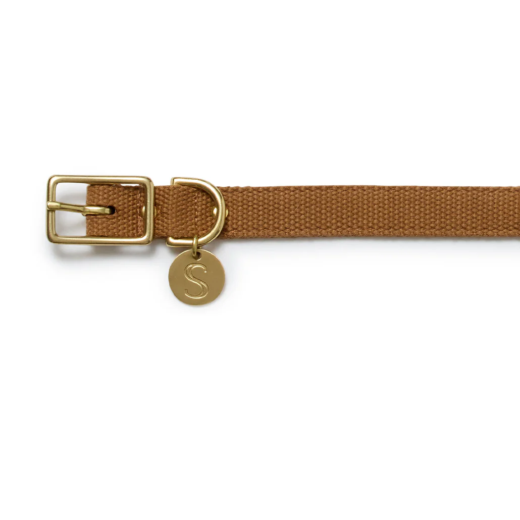 Webbing Collar - Biscuit - Image 3