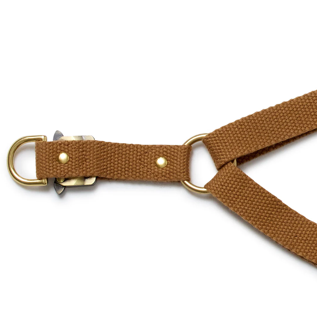 Webbing Step In Harness - Biscuit - Image 3