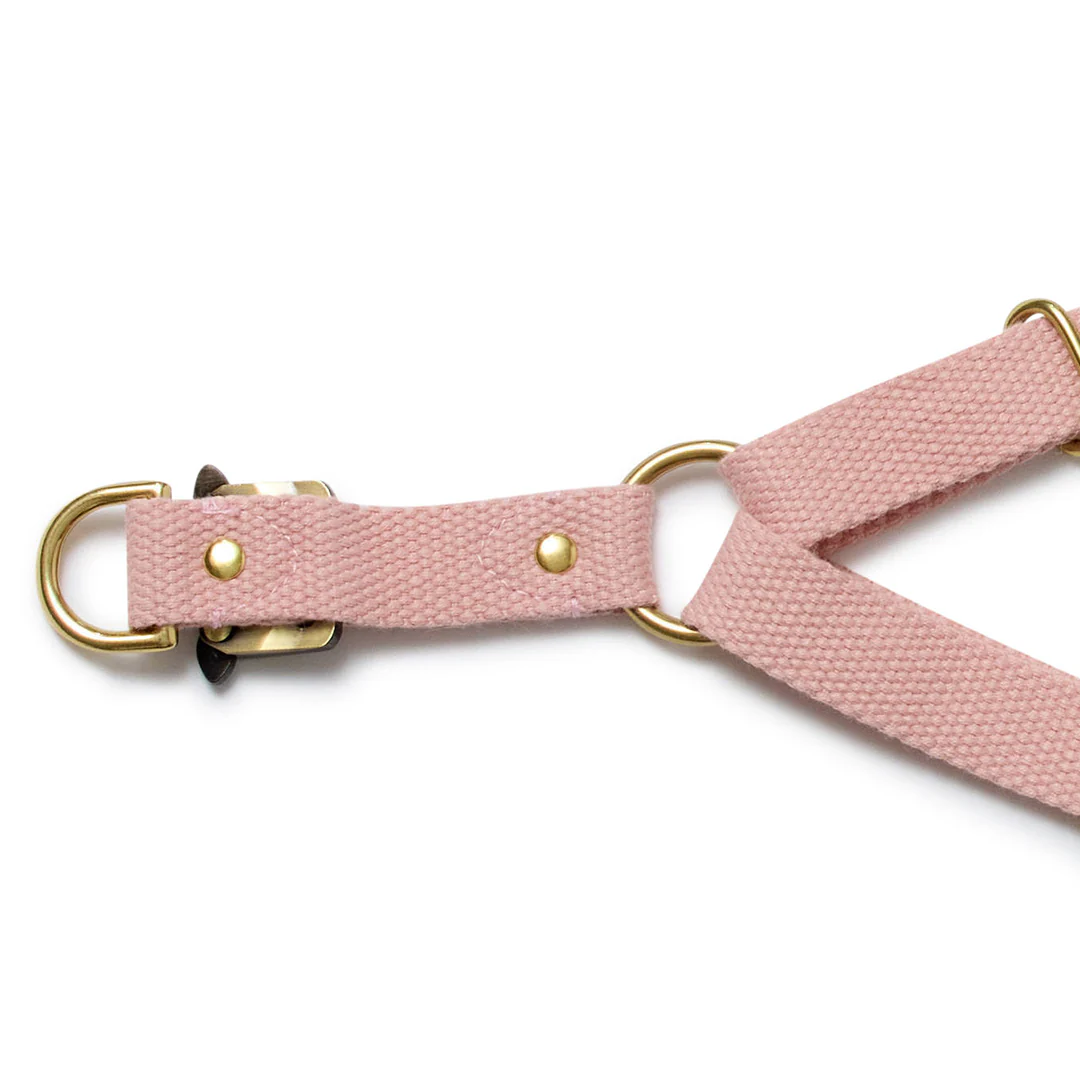 Webbing Step In Harness - Soft Pink - Image 3