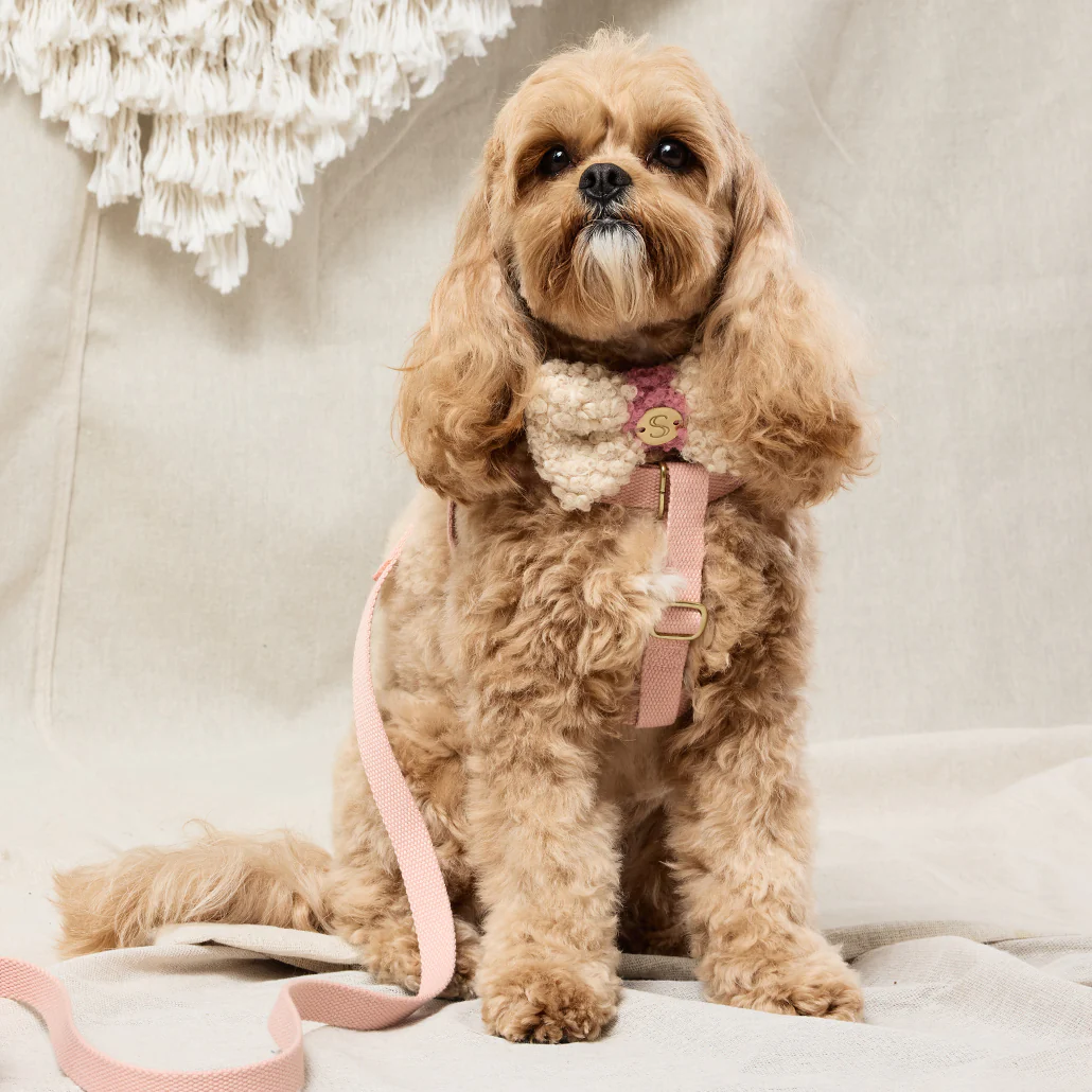 Webbing Step In Harness - Soft Pink - Image 4